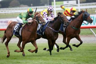 Coulee winning the South Island Thoroughbred Breeders' Stakes. Photo: Race Images South